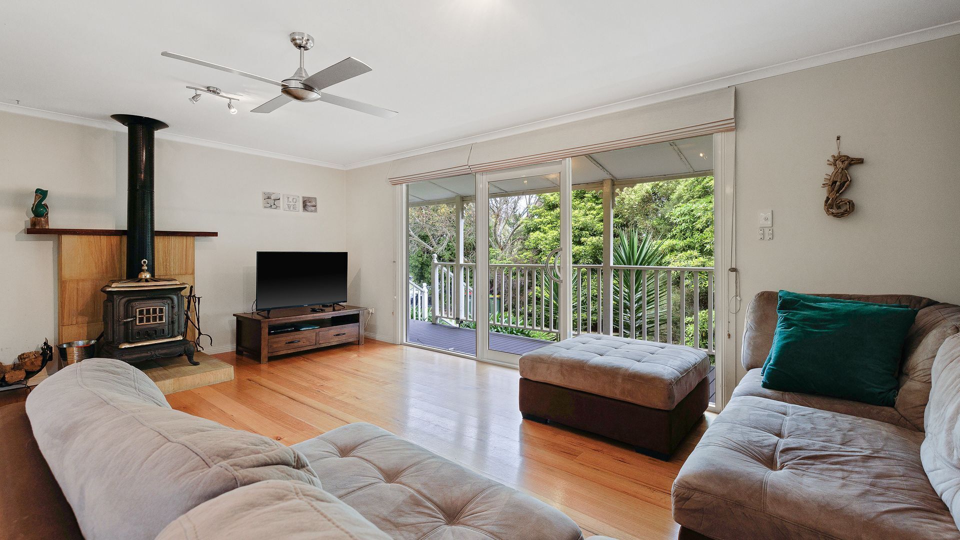 电视、DVD 播放器、影片库、立体声音响