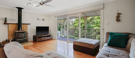 TV, DVD player, video library, stereo