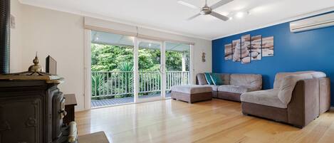 TV, DVD player, video library, stereo