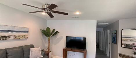 Smart TV, computer monitors