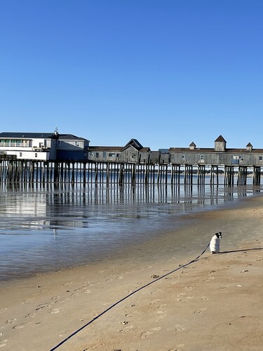 Seashell Cottages/JK Rentals - Cottage 3, 3 full beds