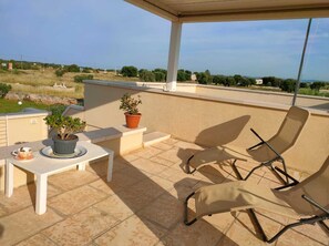 Terras