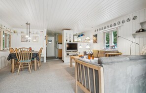 TV, fireplace, DVD player - 3 bedroom gorgeous home in Thyholm (Thyholm)