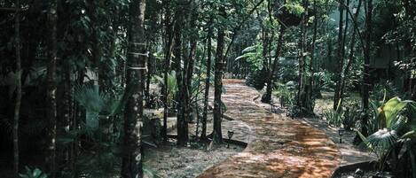 Jardines del alojamiento