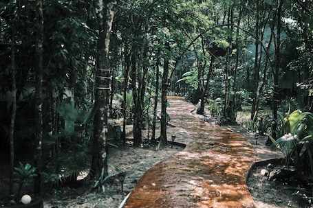 Property grounds. Cozy Jungle Retreat- Hot tub, Private Pool & Breakfast - 5 mins to Beach