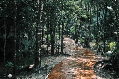 Cozy Jungle Retreat- Hot tub, Private Pool & Breakfast - 5 mins to Beach