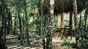 A wooden table and chairs under a thatched roof in a lush garden with a stone pathway.