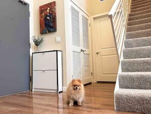 Cozy living space with a staircase leading to upper levels, featuring a comfortable seating area and a pet-friendly atmosphere.