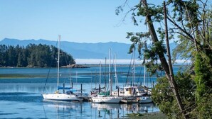 A calm harbor with several sailboats docked, surrounded by trees and mountains in the background.