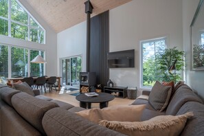 Tv, eldstad och en stereo