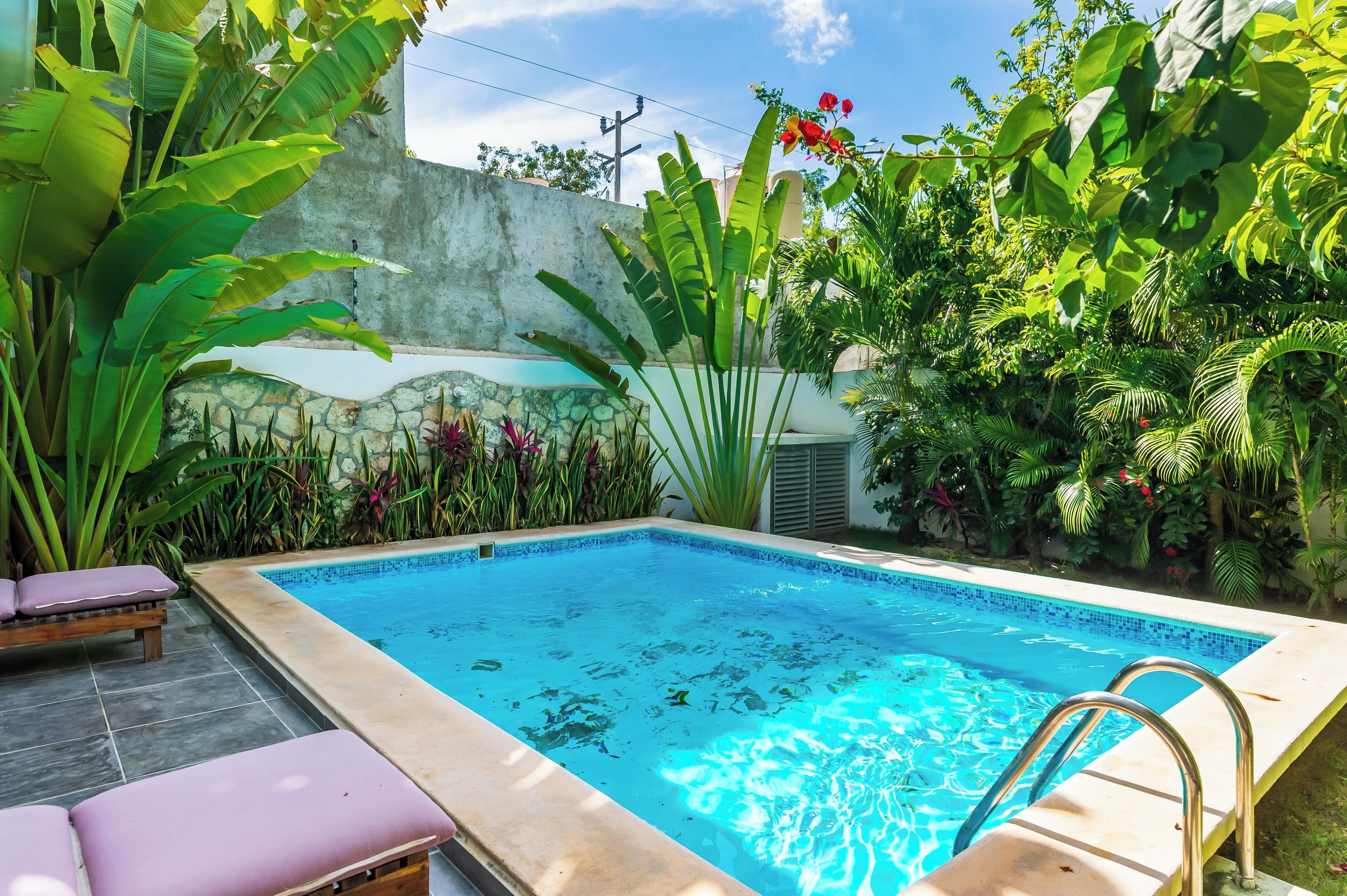 Piscine extérieure, chaises longues