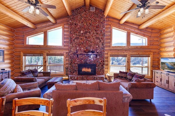 TV, fireplace