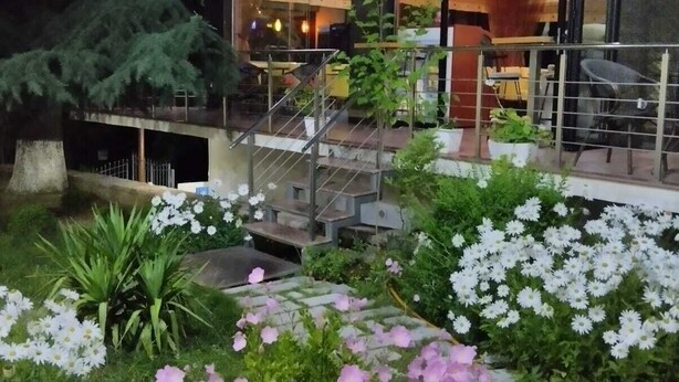 Un hôtel doté d’un intérieur moderne, d’un escalier menant à l’étage supérieur et d’un espace jardin agrémenté de diverses plantes et fleurs.
