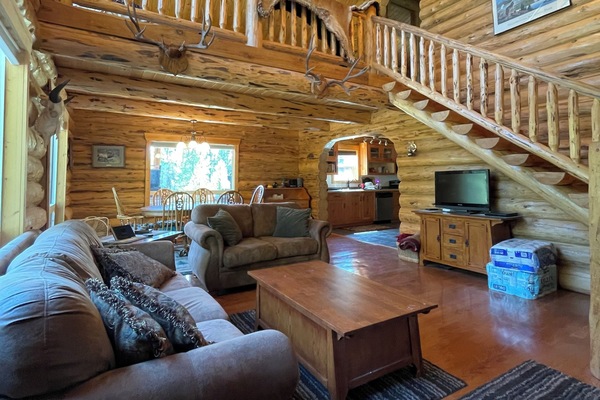 Televisio, DVD-soitin