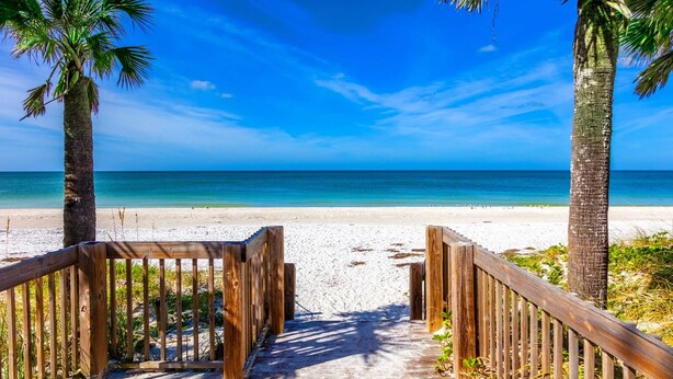 Un sendero de madera que conduce a una playa con palmeras y un cielo azul despejado.