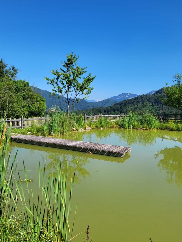 المنطقة المحيطة بالمنشأة