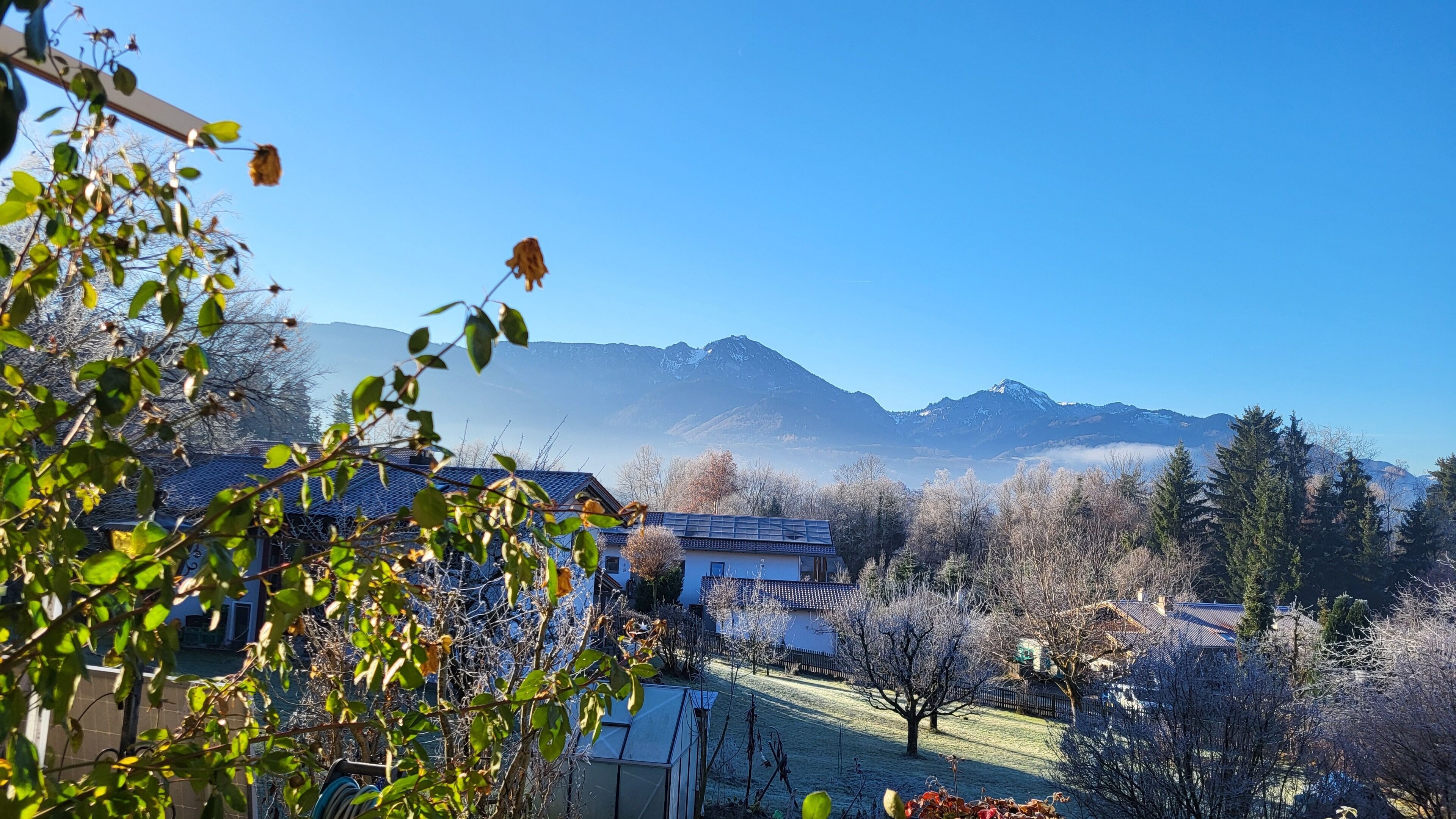 A residential area with houses, a clear sky, and mountains in the background.