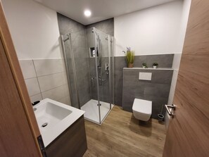 Ducha, secador de pelo, toallas