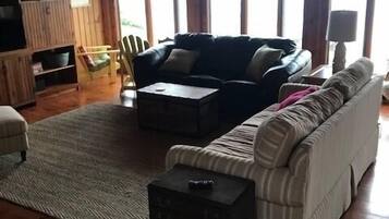 Smart TV, fireplace, DVD player, books