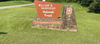 Cozy cottage surrounded by beautiful Bankhead National Forest -- Near Smith Lake