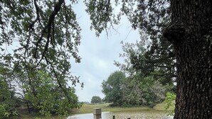 Une jetée en bois s’étendant au-dessus d’une étendue d’eau calme, entourée d’arbres et de verdure.