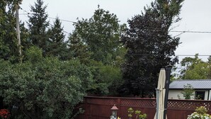 Un patio al aire libre con mobiliario de mimbre, que incluye un sofá y sillones, una mesa de centro y una alfombra estampada. Hay plantas en macetas y un comedero para pájaros en el patio.