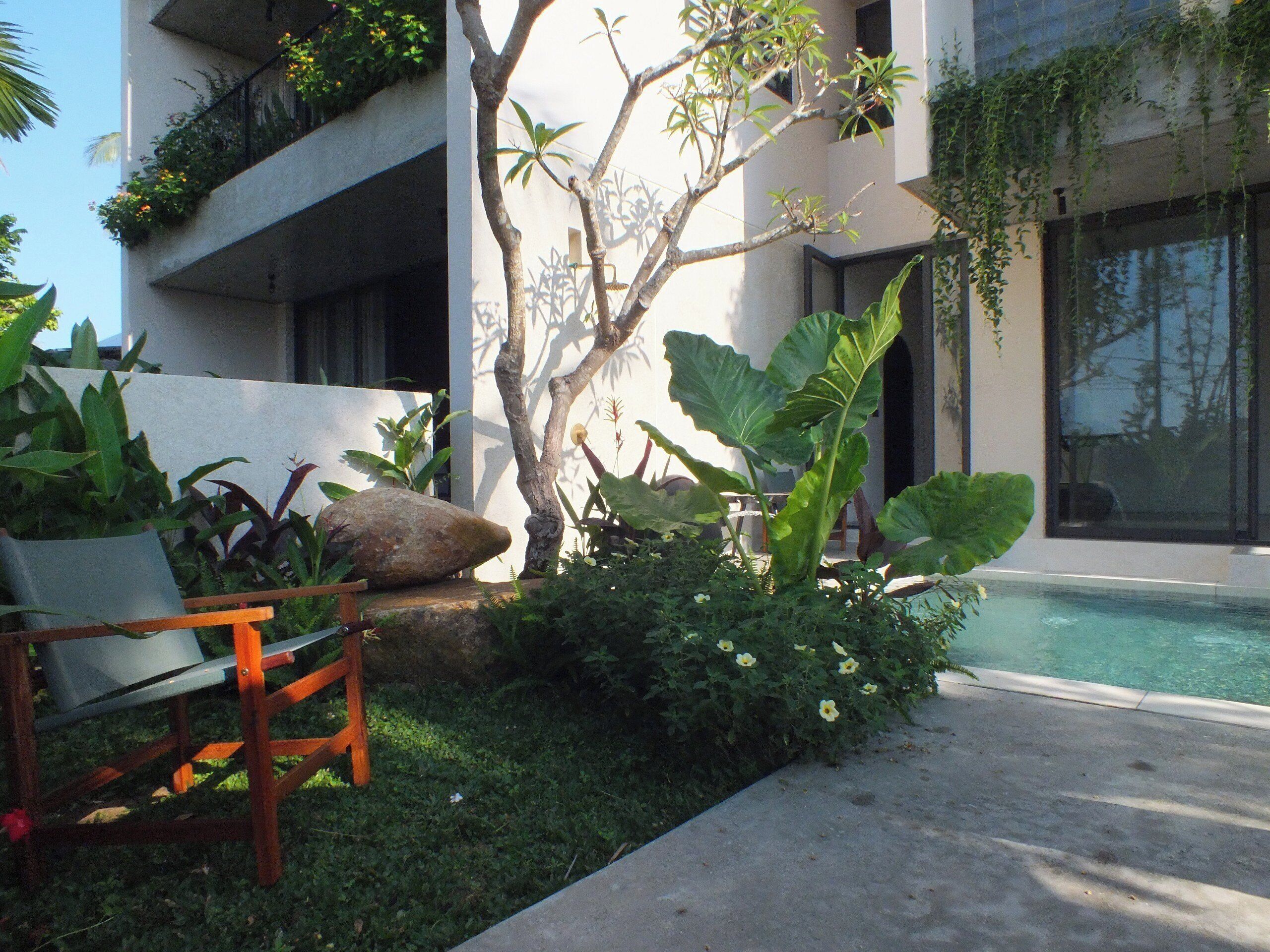 A modern outdoor pool area with a concrete deck, surrounded by lush greenery and a wooden chair.