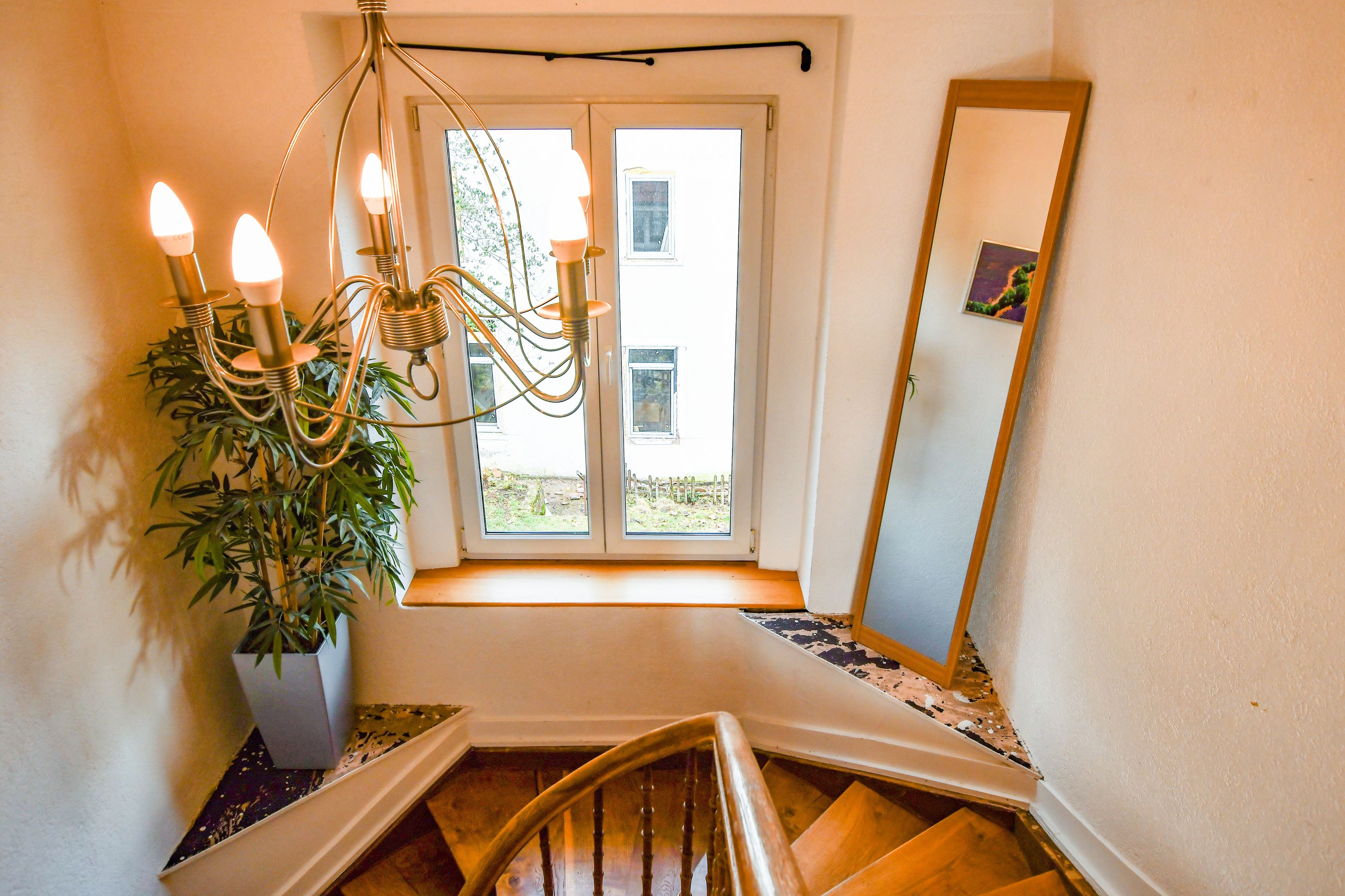 Un escalier avec une rampe en bois, une plante en pot et un lustre.