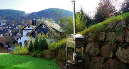 Holiday flat "Villa Fink Obergeschoss" with mountain view, private terrace and wifi.