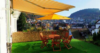 Ferienwohnung "Villa Fink Obergeschoss" mit Bergblick, privater Terrasse und Wlan