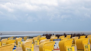 Uma praia com fileiras de cadeiras de vime amarelas, numeradas 56, 57, 99, 100 e 98.