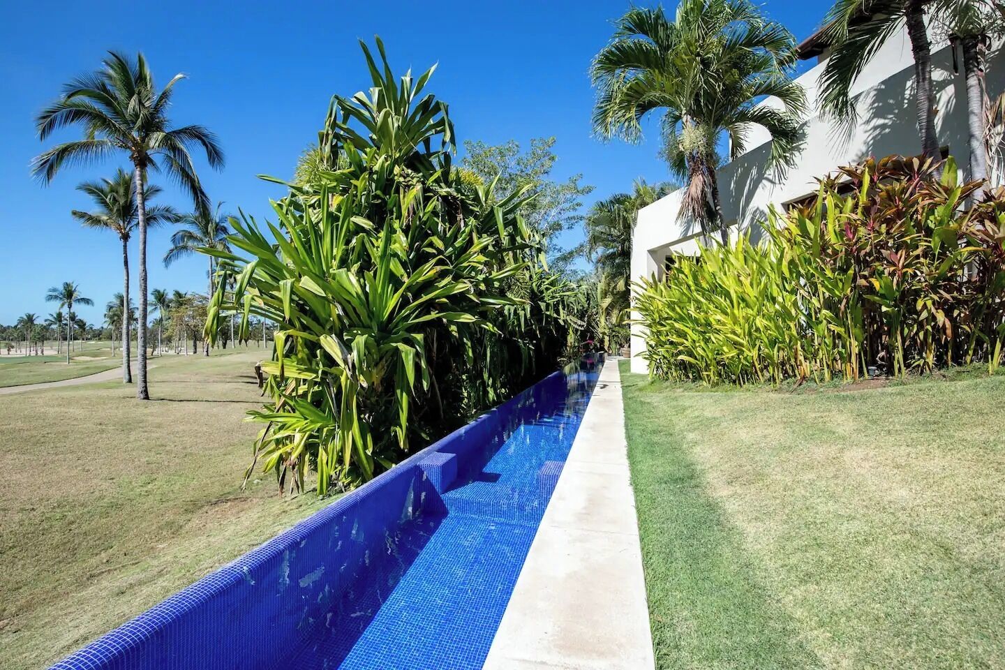 Une piscine dont le bord est recouvert de carreaux bleus, entourée d’une végétation luxuriante et de palmiers.
