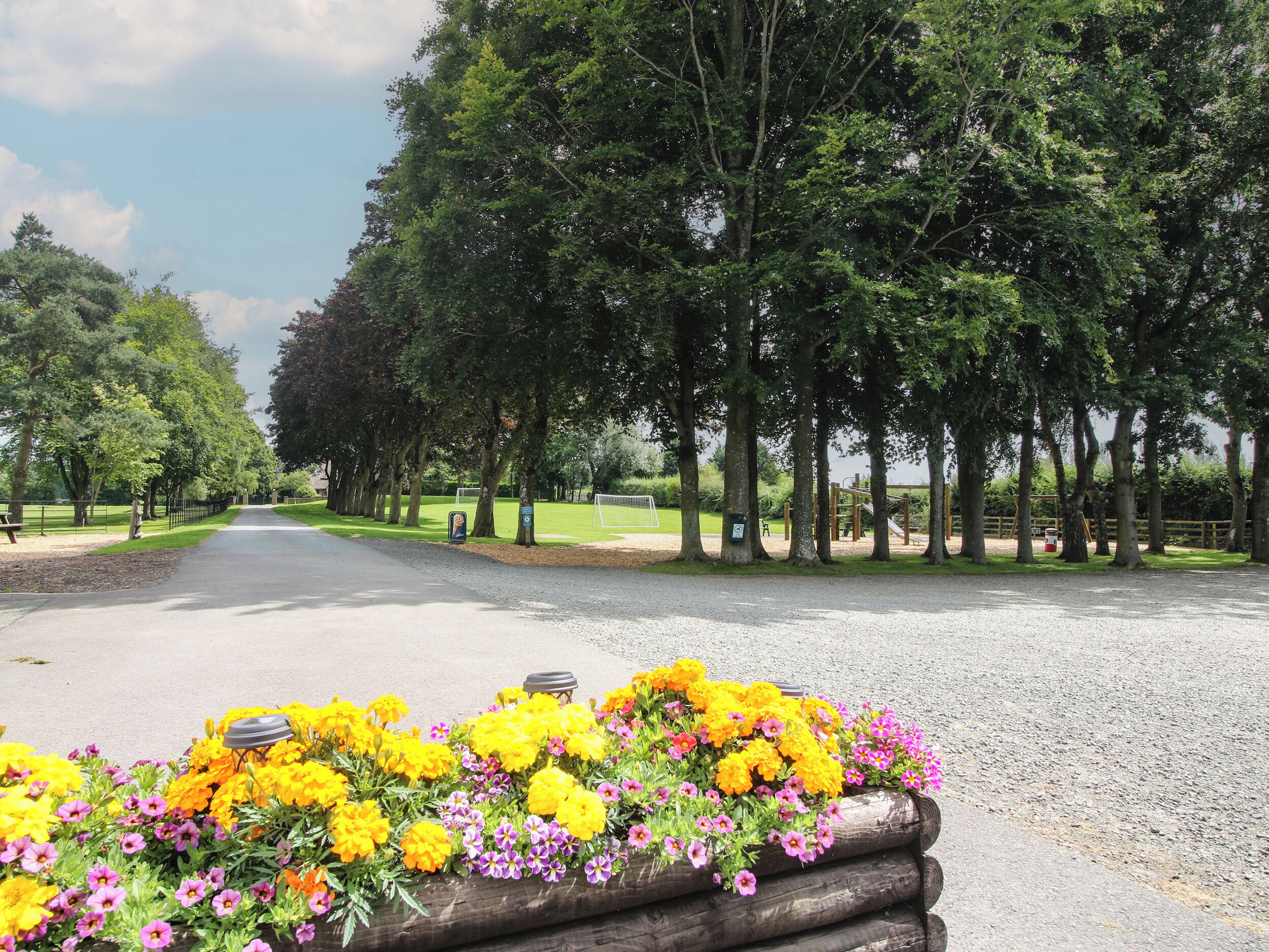 A paved pathway lined with trees and a flower bed with yellow and purple flowers.