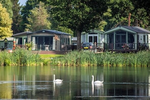Vista al lago con dos cisnes nadando, rodeado de follaje y una hilera de casas con grandes ventanales y balcones.