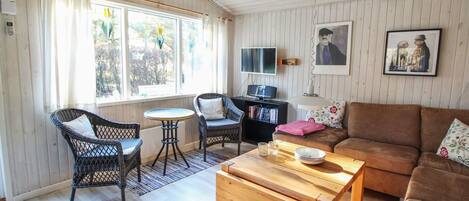 Fernseher, Kamin, DVD-Player