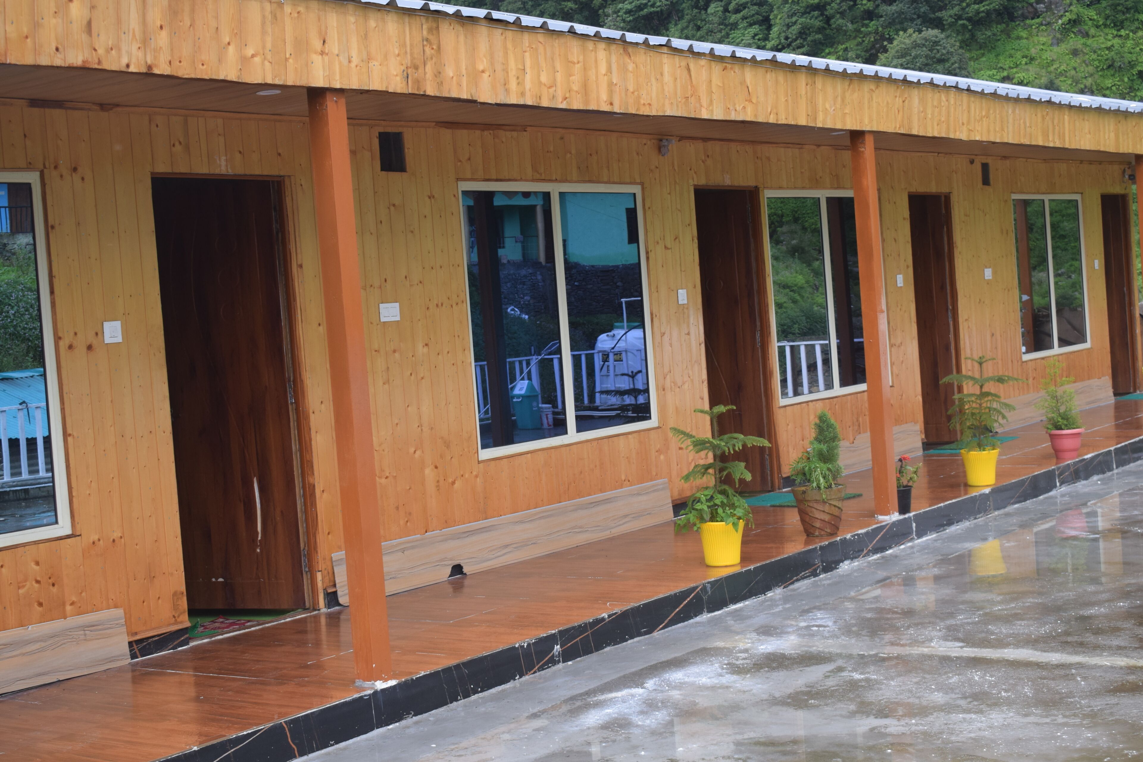 A row of wooden cabins with large windows and potted plants.