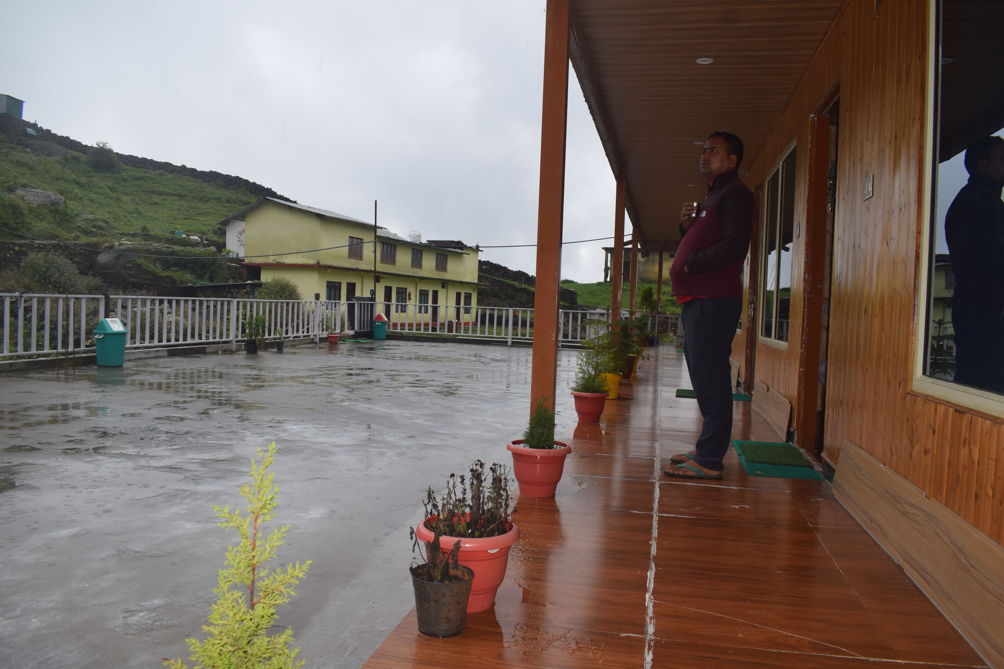 A covered outdoor area with potted plants, a wooden floor, and a view of a hillside.