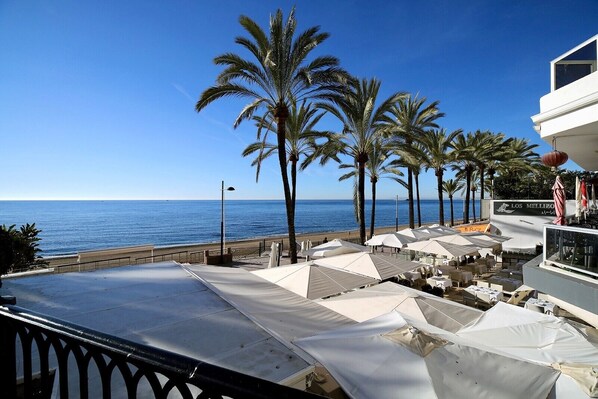 A seaside terrace with white umbrellas, palm trees, and a view of the ocean.