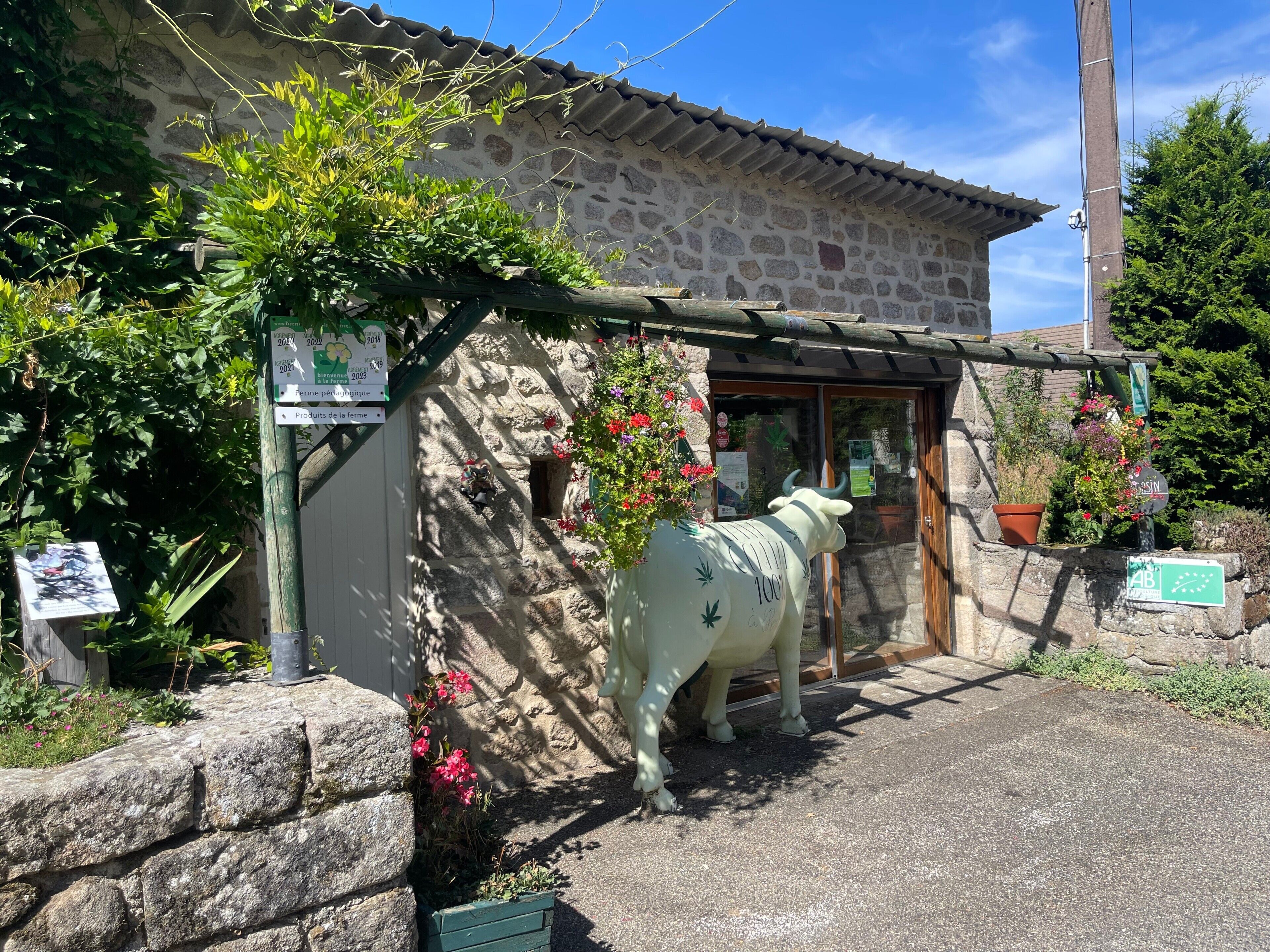 Detalle exterior