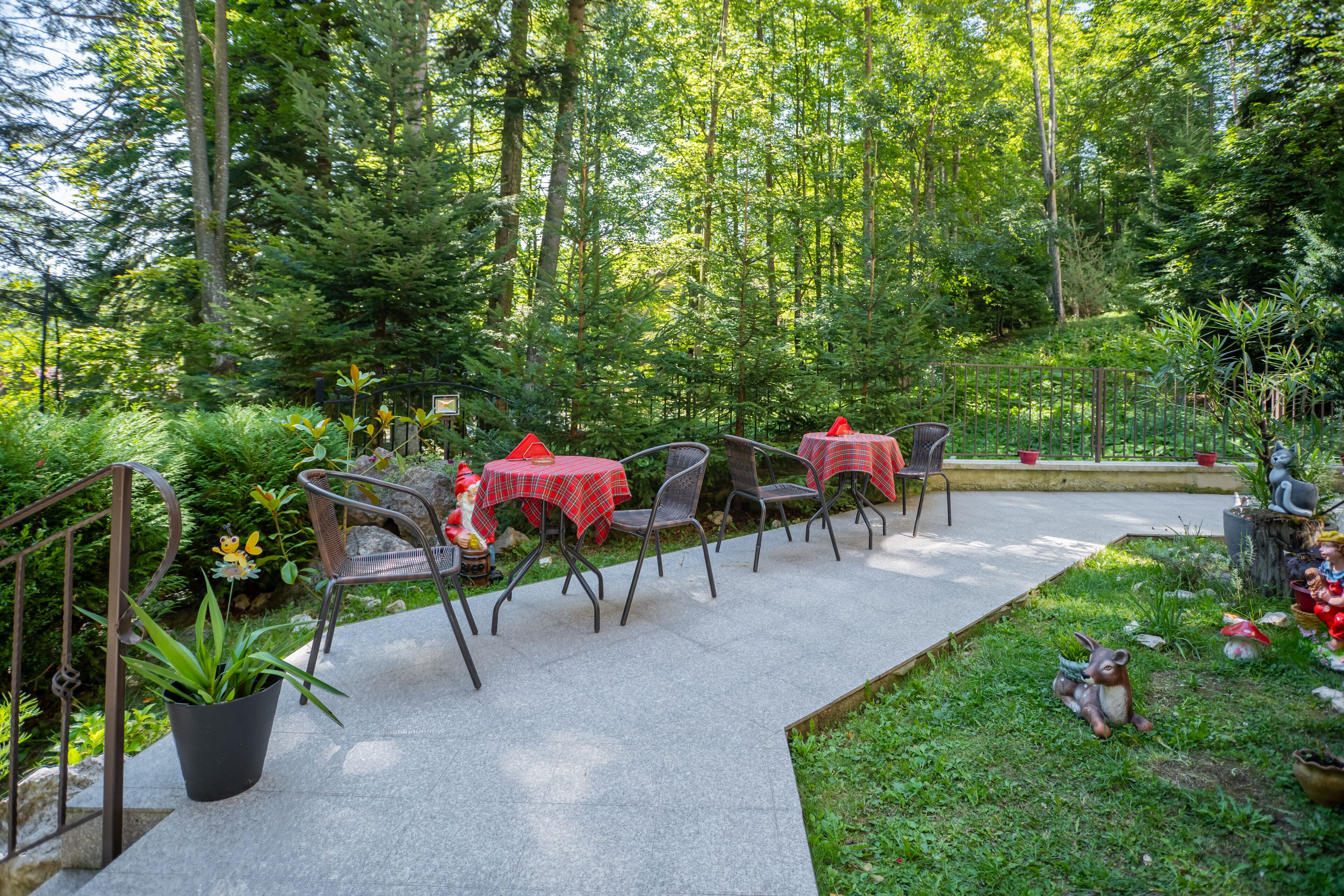 Patio esterno con tavoli e sedie, immerso nel verde e alberi.