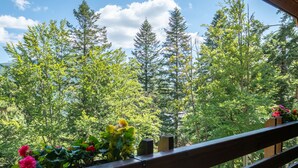 A wooden balcony with a view of a forest and a clear sky. - Opus Villa (Sinaia)