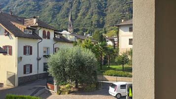 A residential area with houses, a driveway, and a mountain in the background.