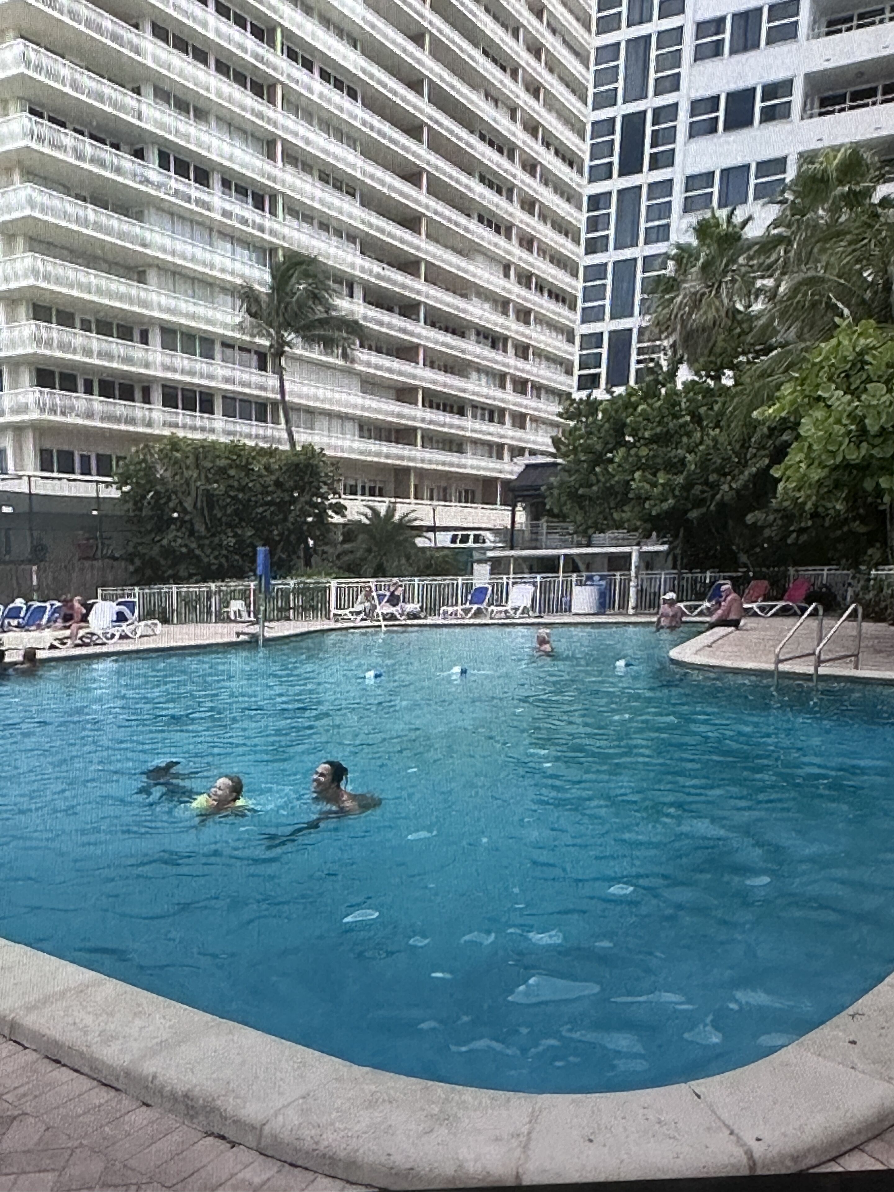 A swimming pool with people in the water, surrounded by a fence and palm trees.