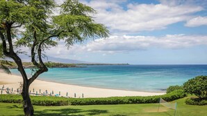Une plage offrant une vue dégagée sur l’océan, une rive sablonneuse et une zone herbeuse avec un hamac.