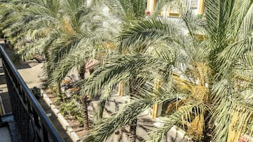 Studio | Balcony view