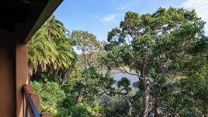 A balcony with a view of a lake surrounded by dense foliage and trees. - San Lameer Villa 3009 (Southbroom)