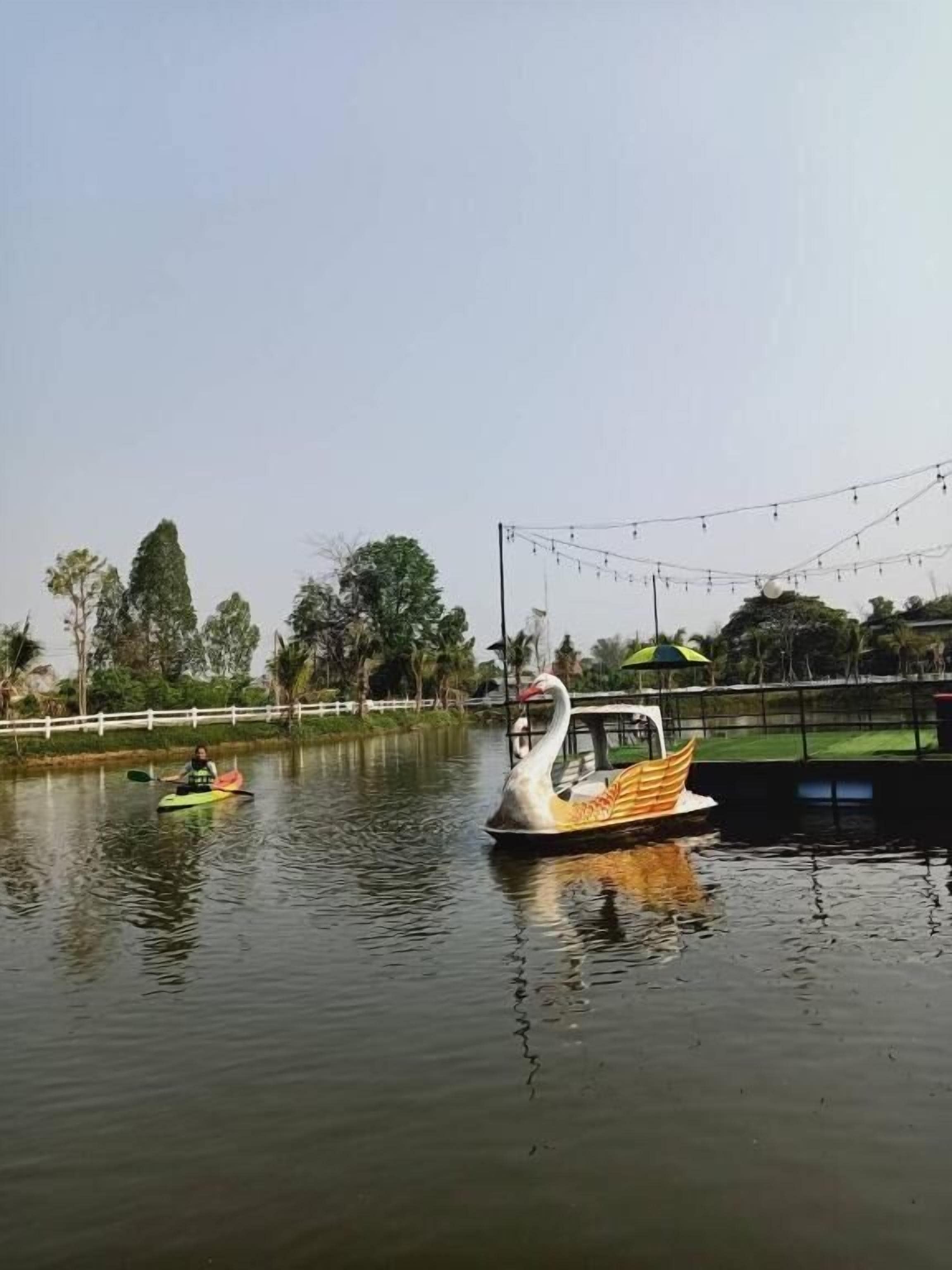 Un bateau en forme de cygne sur une étendue d’eau calme, entouré d’arbres et d’une clôture.