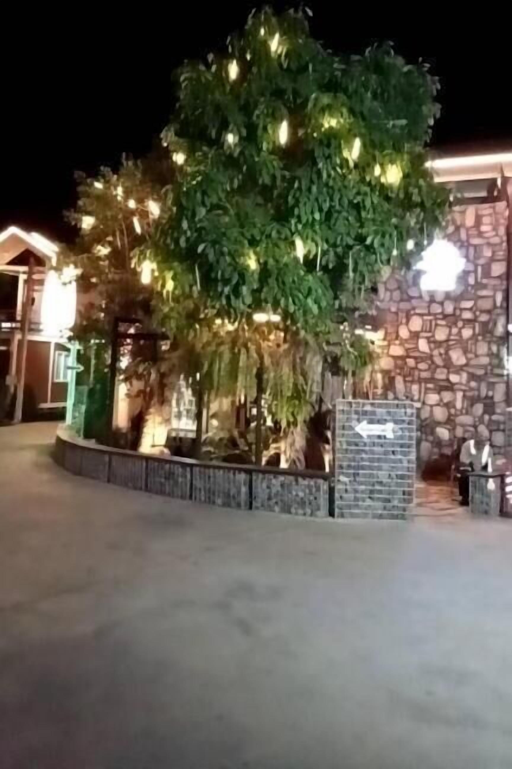 Fachada del alojamiento