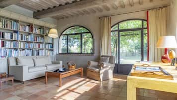 Smart TV, caminetto, libri