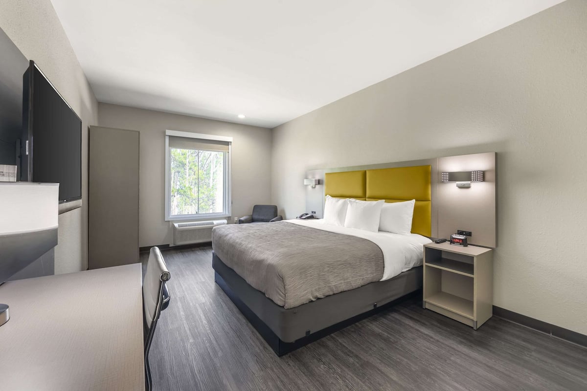 Una habitación de hotel moderna con una cama grande, una mesita de noche y un escritorio con una silla.